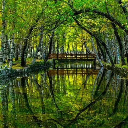 Apartamento Casa Manuel Ii Sabugueiro (Guarda)