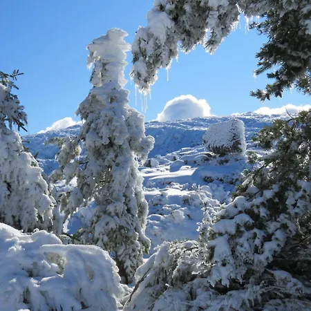 Apartamento Casa Manuel Ii