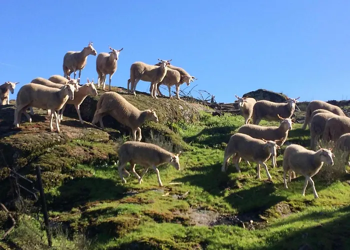 Apartamento Casa Manuel Ii *