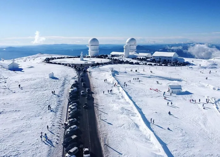 Casa Manuel Ii Apartamento