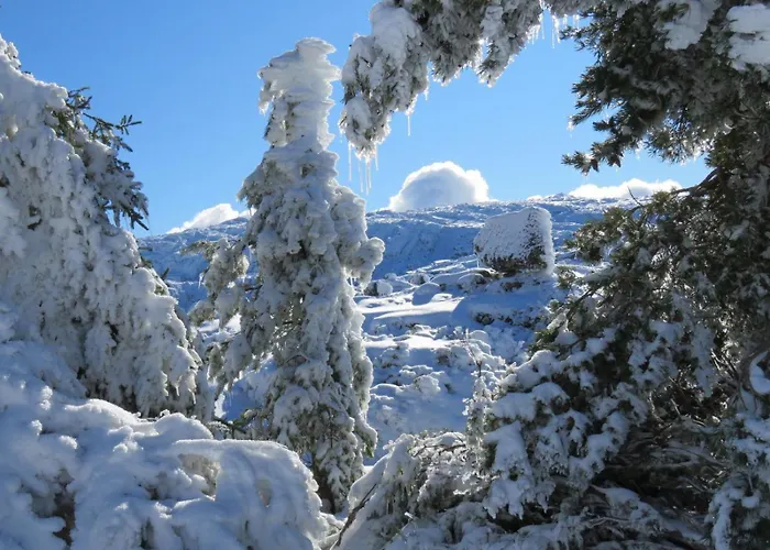 Apartamento Casa Manuel Ii